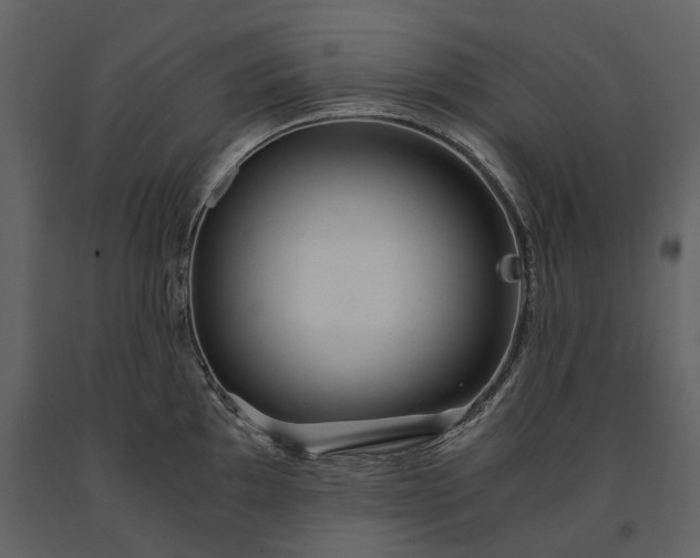 X0000091181097200708231523