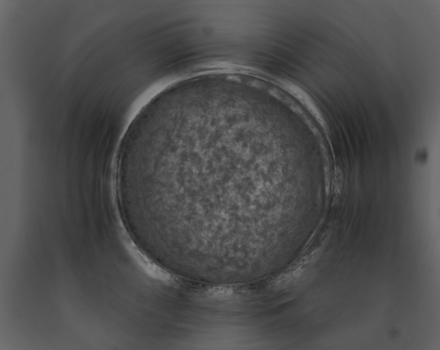 X0000091181098200708231523