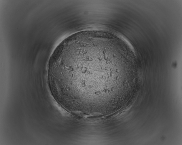 X0000091181099200708231523