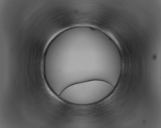 X0000091181100200708231523