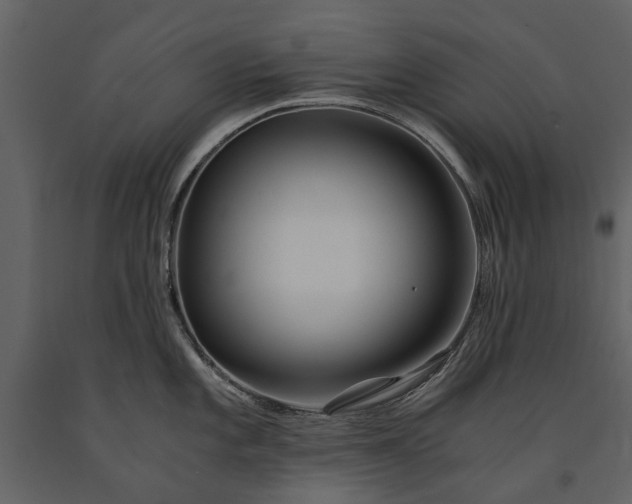 X0000091181101200708231523