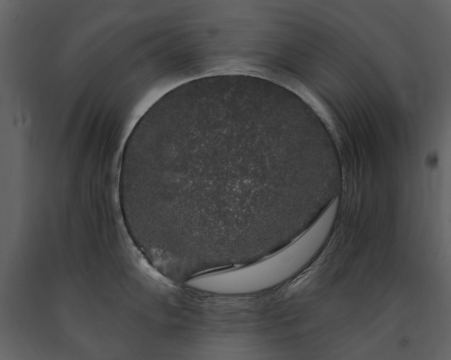 X0000091181102200708231523