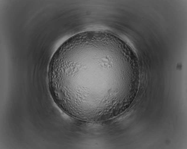 X0000091181103200708231523