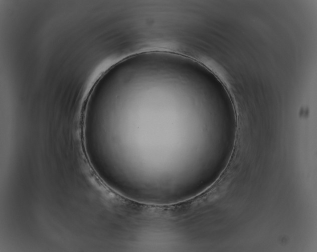 X0000091181104200708231523