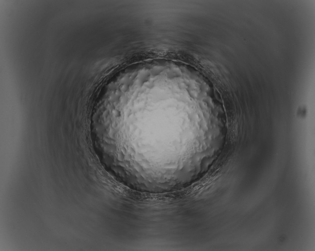 X0000091181105200708231522