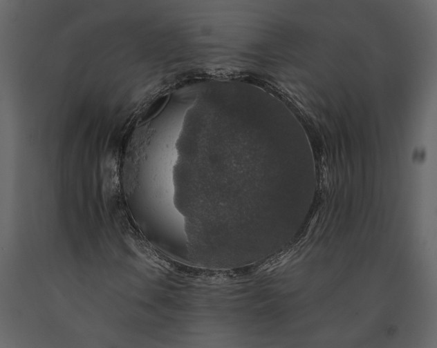 X0000091181106200708231522