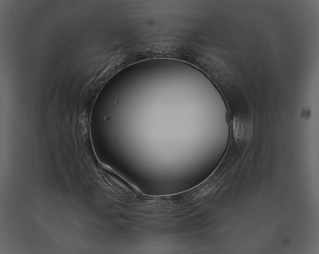 X0000091181107200708231522