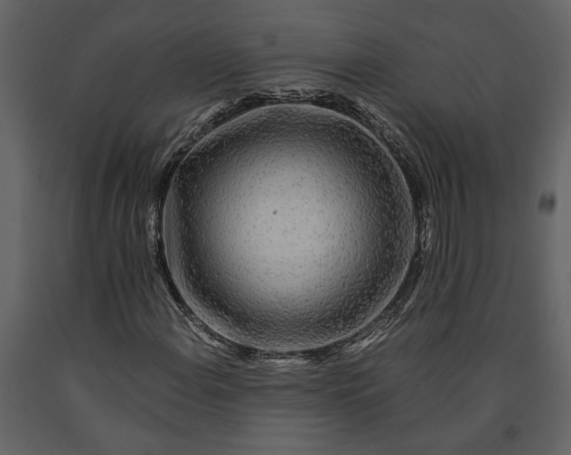 X0000091181108200708231522