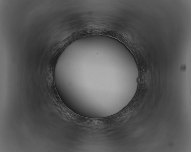 X0000091181109200708231522