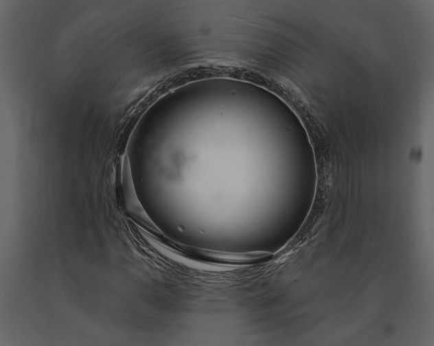 X0000091181110200708231522