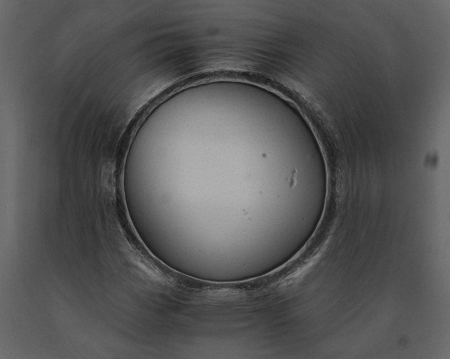 X0000091181113200708231522