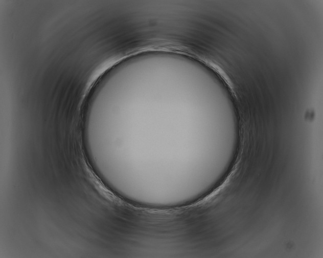 X0000091181114200708231522