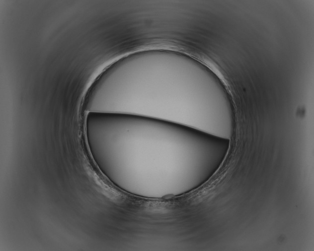 X0000091181116200708231522