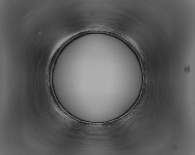 X0000091181120200708231522