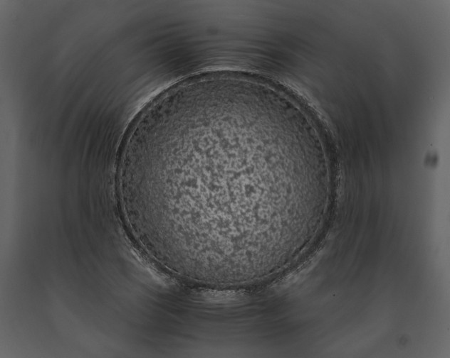 X0000091181121200708231522