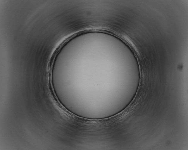 X0000091181124200708231522