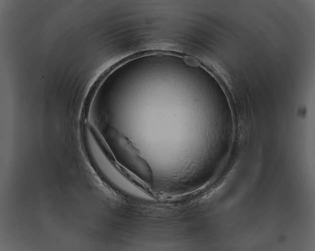 X0000091181125200708231522