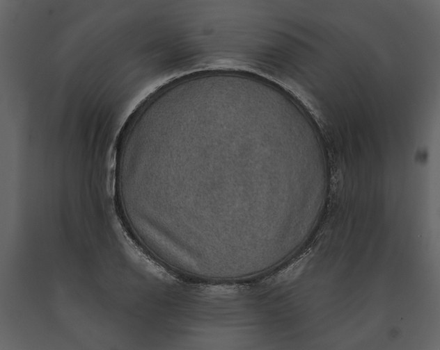 X0000091181126200708231523