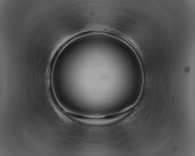 X0000091181128200708231523