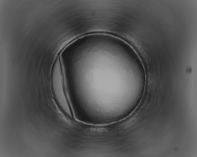X0000091181129200708231523