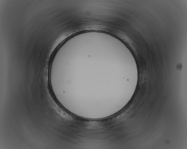 X0000091181130200708231523