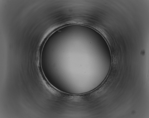 X0000091181131200708231523