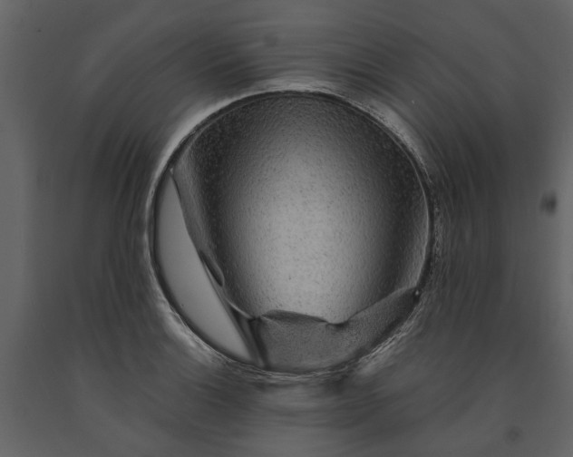 X0000091181132200708231523