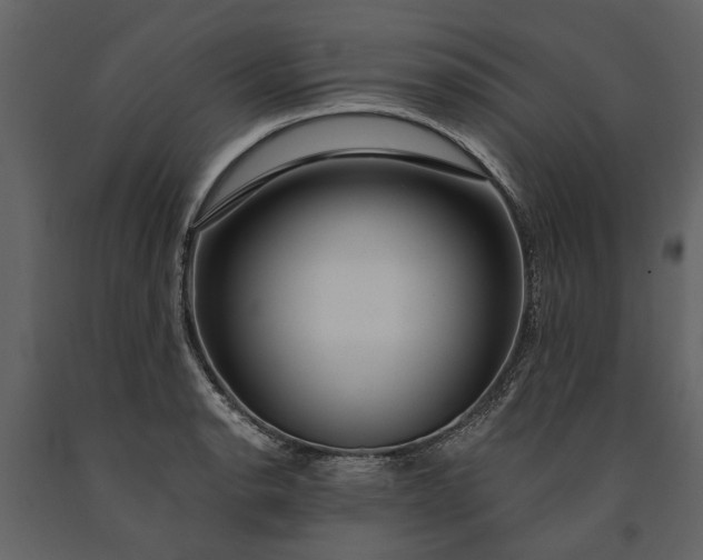 X0000091181134200708231523