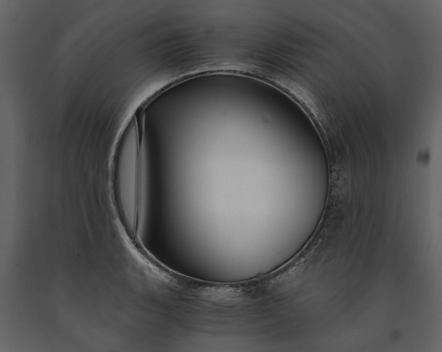 X0000091181135200708231523