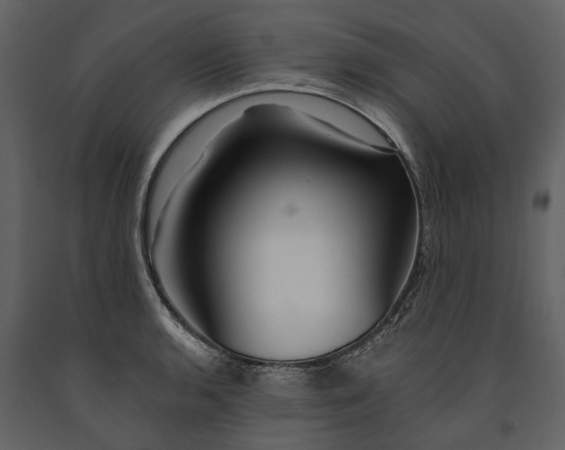 X0000091181136200708231523