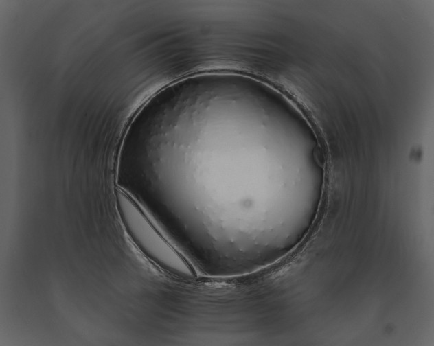 X0000091181137200708231523