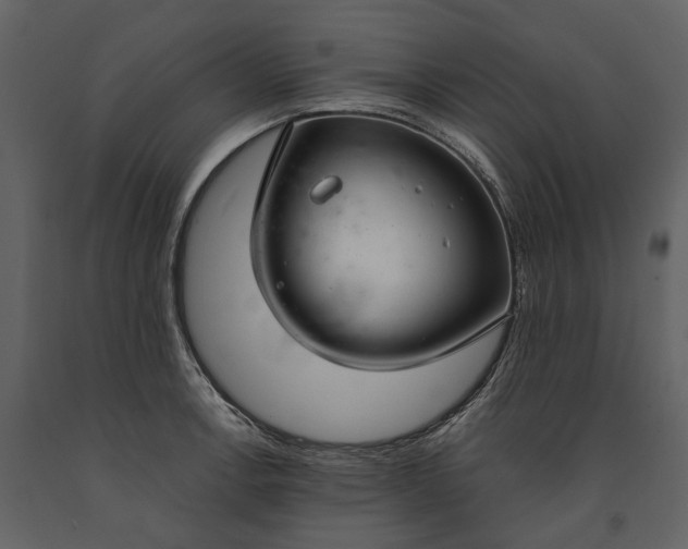 X0000091181138200708231523