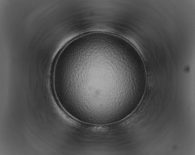X0000091181139200708231523