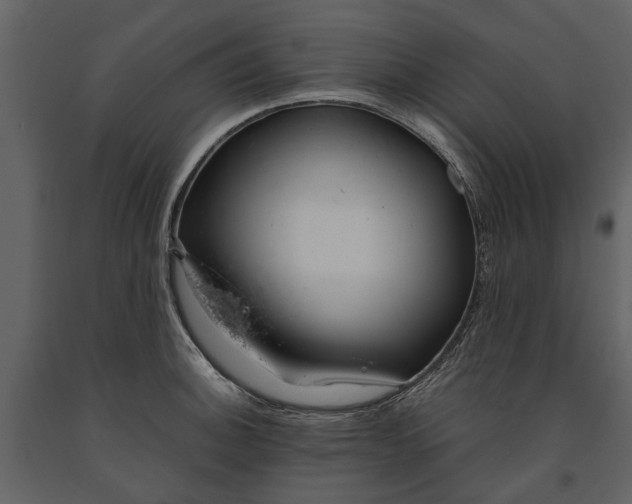 X0000091181140200708231523