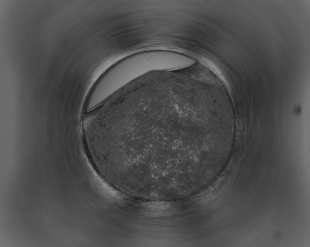 X0000091181141200708231523