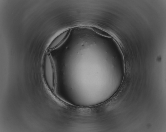 X0000091181142200708231523