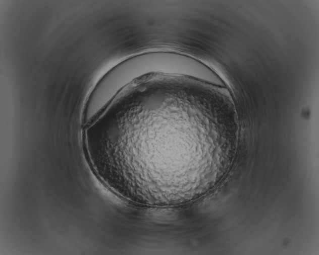 X0000091181143200708231523