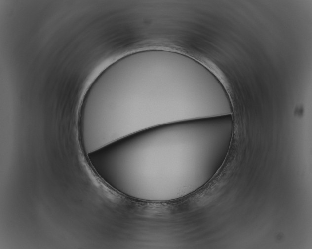 X0000091181144200708231523