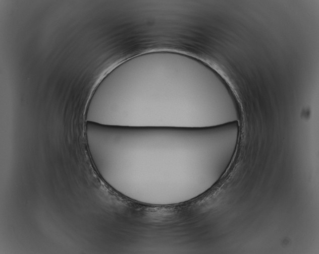X0000091181145200708231523