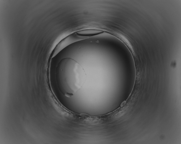 X0000091181146200708231523