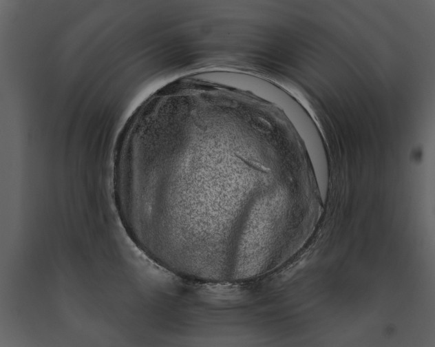 X0000091181147200708231523