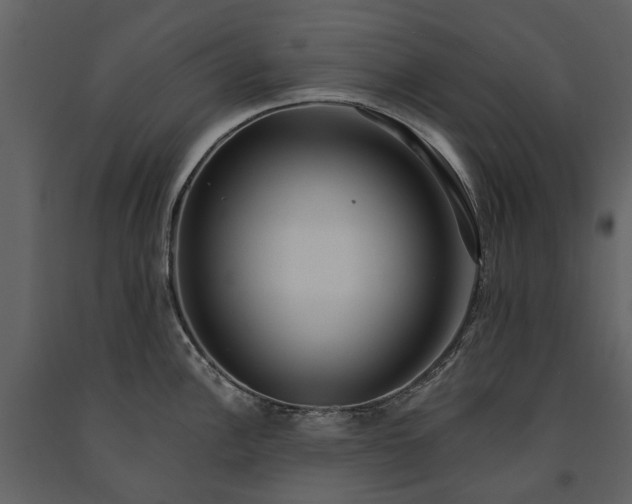 X0000091181148200708231523