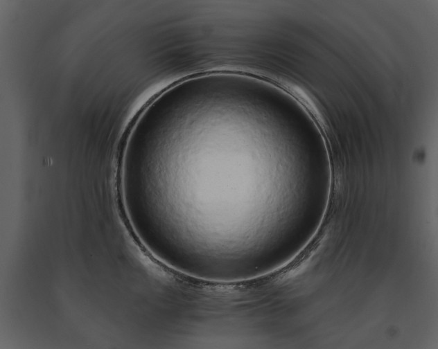 X0000091181149200708231523