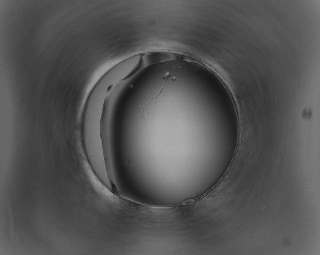 X0000091181152200708231523