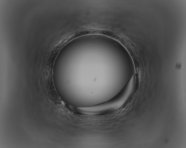 X0000091181157200708231522
