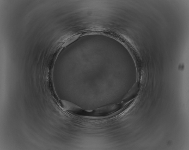 X0000091181161200708231522