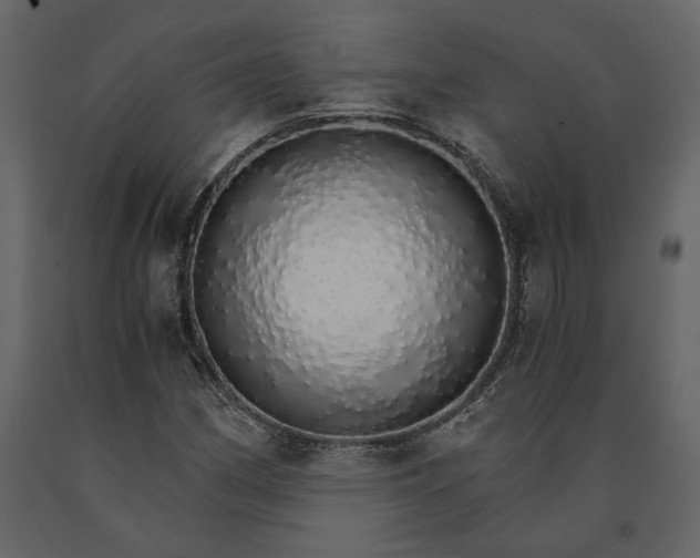 X0000091181162200708231522