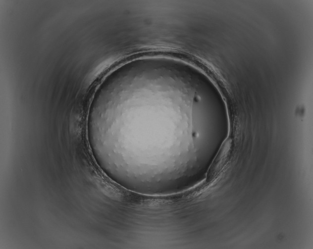 X0000091181163200708231522