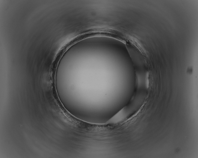 X0000091181164200708231522