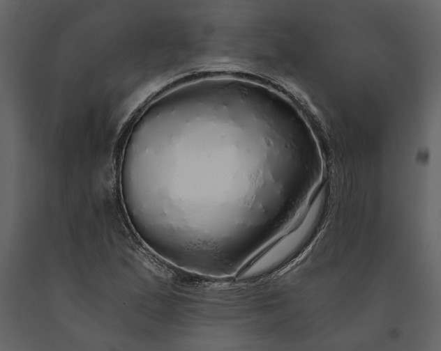 X0000091181167200708231522